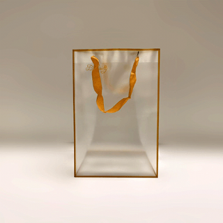 Sacola de Presente Incolor 20x15x30 - Pacote c/ 10 und