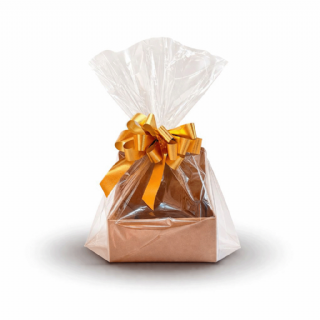 Saco Incolor 45x59cm - Pacote c/25 und