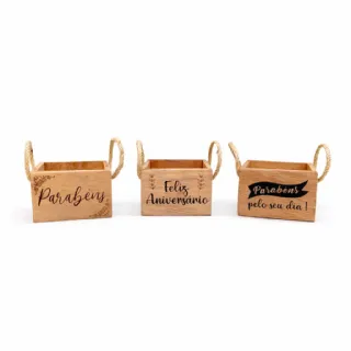 Cachep� para 1 mini Suculenta - Cole��o Parab�ns und