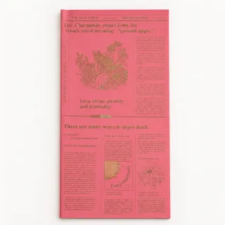 Poli Coreano Jornal - Pacote c/ 20 folhas