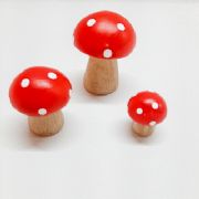 Cogumelos para Terr�rio