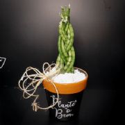 Vaso com Frase M�dio