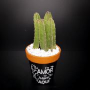 Vaso com Frase Grande