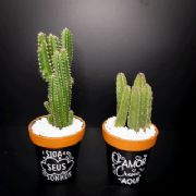 Vaso com Frase Grande