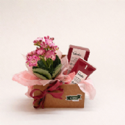 Caixa Display Dupla face Dupla - Pacote c/10 und