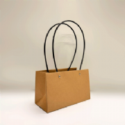 Sacola de Presente Retangular - Pacote c/10 und