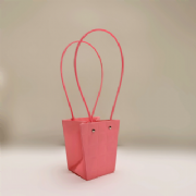 Sacola de Presente Pote 11 - Pacote c/10 und