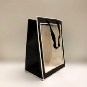 Sacola de Presente c/ visor - Pacote c/10 und