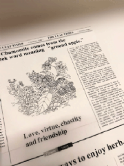 Poli Coreano Jornal - Pacote c/ 20 folhas