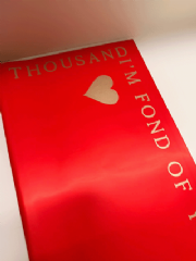 Poli Coreano Love - Pacote c/ 20 folhas