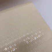 Sujinho Laise 49x69cm - Pacote c/50 folhas