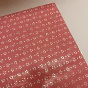 Sujinho Laise 49x69cm - Pacote c/50 folhas