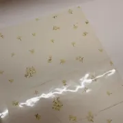 Sujinho Cecilia 49x69cm - Pacote c/50 folhas