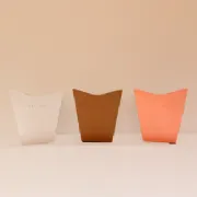 Cachep� Cymbidium Pote 17 - Pacote c/10 und