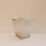 Cachep� Cymbidium Pote 17 - Pacote c/10 und