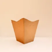 Cachep� Cymbidium Pote 17 - Pacote c/10 und