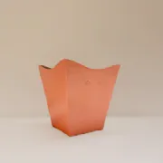 Cachep� Cymbidium Pote 17 - Pacote c/10 und