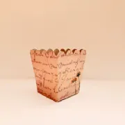 Cachep� Azaleia Pote 12 - Pacote c/10 und