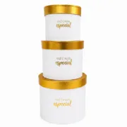 Caixa Box R�gida Voc� � Especial - Kit c/3 und