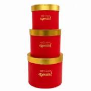 Caixa Box R�gida Voc� � Especial - Kit c/3 und