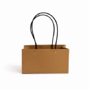 Sacola de Presente Retangular - Pacote c/10 und