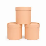 Caixa Box R�gida PP - Kit c/3 und