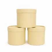 Caixa Box R�gida PP - Kit c/3 und
