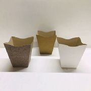 Cachep� Cymbidium Pote 17 - pacote c/10 und