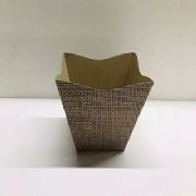 Cachep� Cymbidium Pote 17 - pacote c/10 und