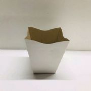 Cachep� Cymbidium Pote 17 - pacote c/10 und