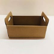 Caixote Kraft c/10un