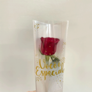 Embalagem p/1 Bot�o de Rosa Voc� � Especial - Pacote c/100und