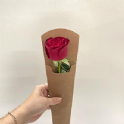 Cone p/Flor Kraft - Pacote c/10 und