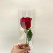 Embalagem p/1 Bot�o de Rosa Incolor - Pacote c/100und