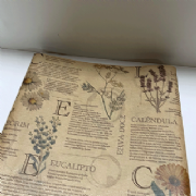 Papel Kraft Bot�nico 59x80cm - Pacote c/50 folhas