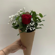 Cone Bouquet - Pacote c/10und