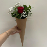 Cone Bouquet - Pacote c/10und