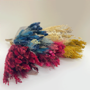 Buqu� de flores secas P - 50cm