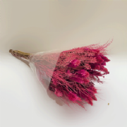 Buqu� de flores secas P - 50cm