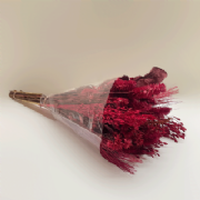 Buqu� de flores secas P - 50cm