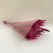 Buqu� de flores secas G - 65 cm