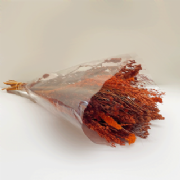 Buqu� de flores secas G - 65 cm