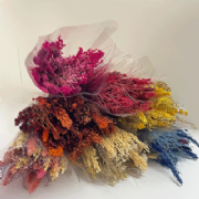 Buqu� de flores secas G - 65 cm