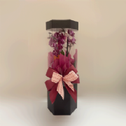 Caixa Box Acetato P - Pacote c/2 und