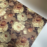 Papel Seda Estampado Giullia 50x70cm - Pacote c/50 folhas