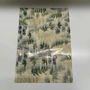 Sujinho Poli Frozen Aurora 49x69cm - Pacote c/50 folhas