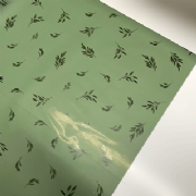 Sujinho Foglia 49x69cm - Pacote c/50 folhas