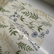 Sujinho Poli Frozen Aurora 49x69cm - Pacote c/50 folhas