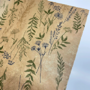 Papel Kraft Aurora 68x79cm - Pacote c/25 Folhas