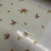 Sujinho Poli Frozen Flora 49x69cm - Pacote c/50 folhas